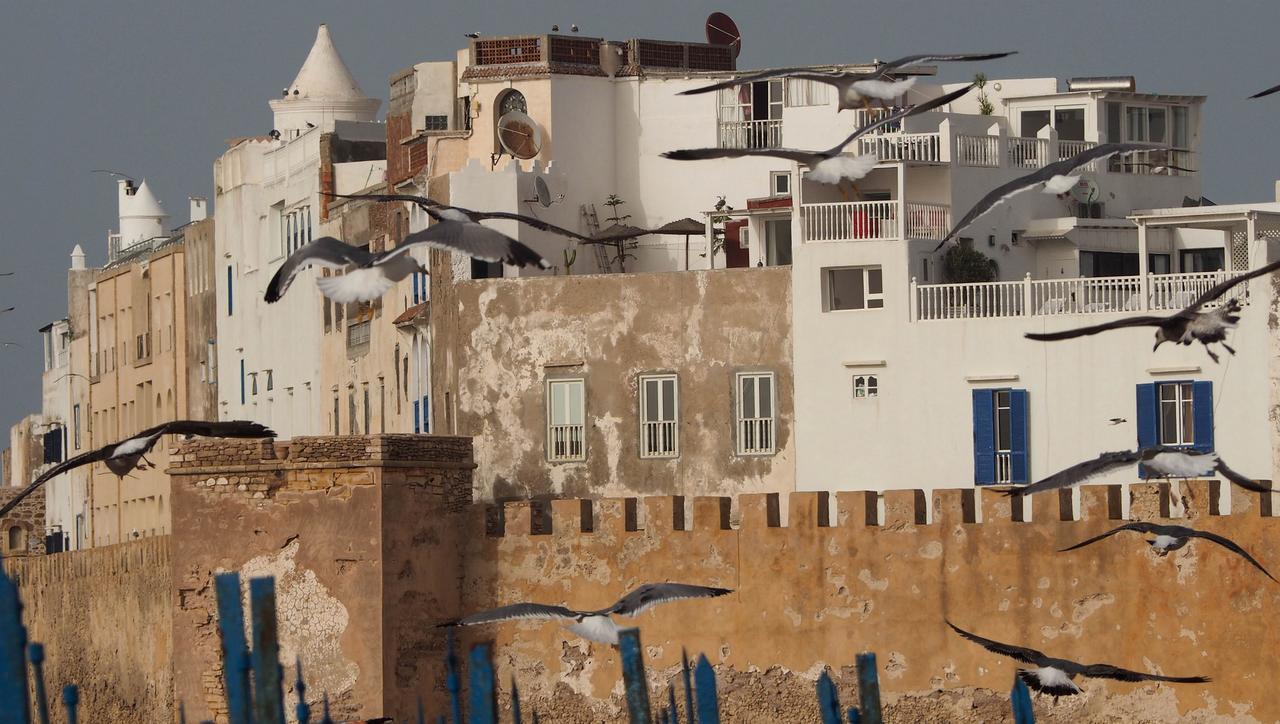 Dar Rahaothello Bed & Breakfast Essaouira Exterior photo