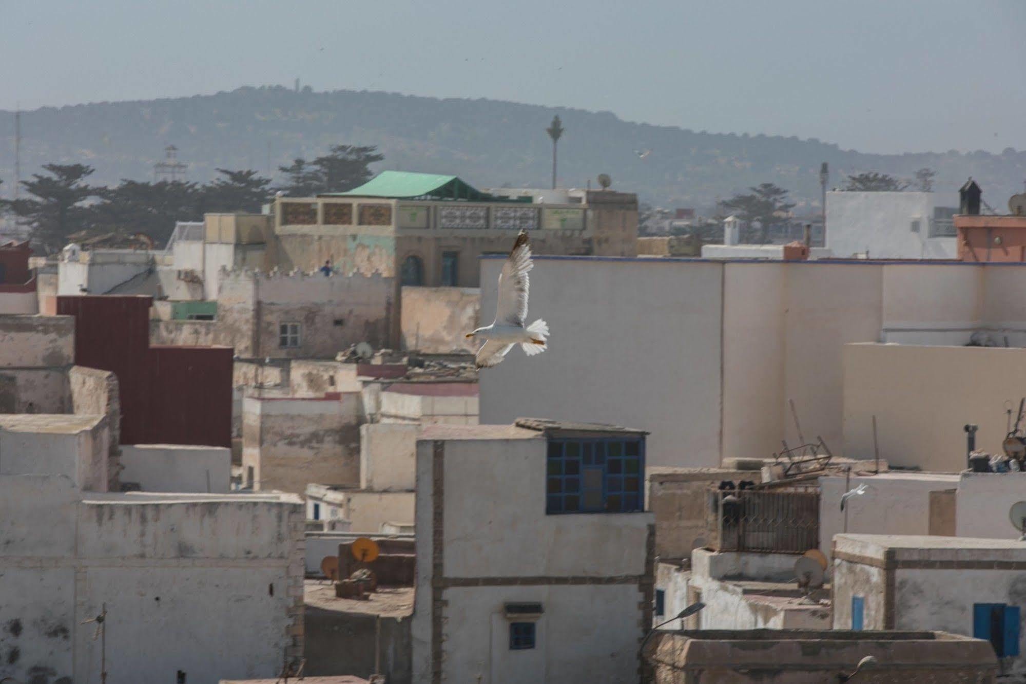 Dar Rahaothello Bed & Breakfast Essaouira Exterior photo